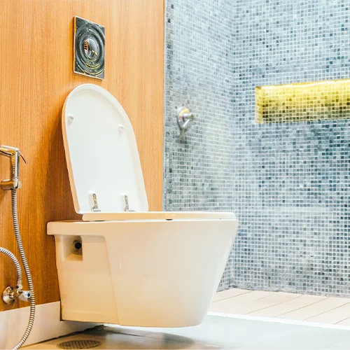 toilet1