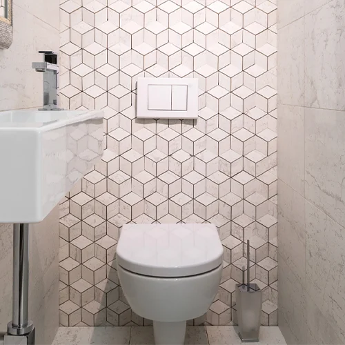 toilet2