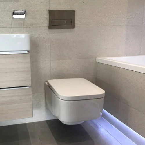 toilet3