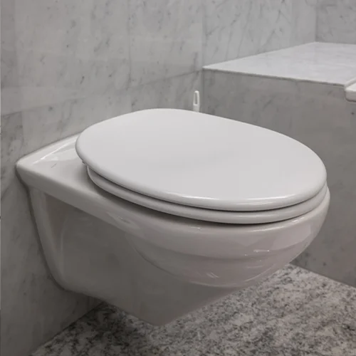toilet4